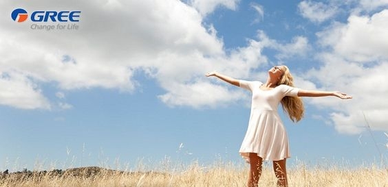 Điều hòa Gree có tốt không?